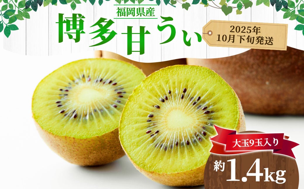 福岡県産 博多甘うぃ 約1.4kg（大玉9玉入り）キウイフルーツ キウイ 【2025年10月下旬～11月下旬発送予定】