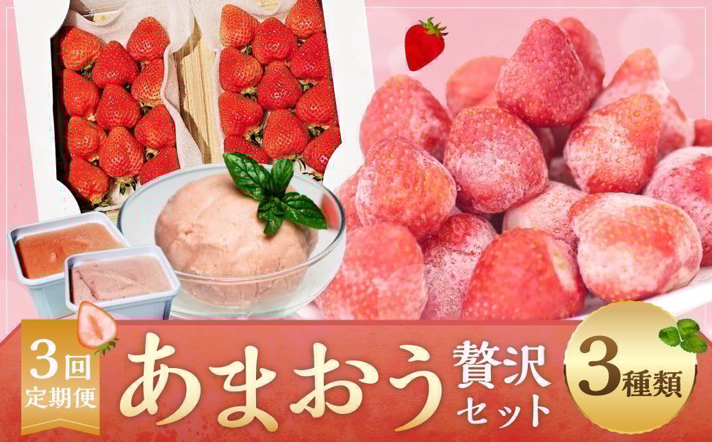 【予約受付・3回定期便】あまおう贅沢セット あまおう いちご 苺 イチゴ フルーツ 果物 くだもの ジェラート【2026年3月上旬～7月下旬発送予定】