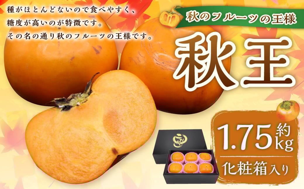 秋のフルーツの王様・ブランド柿「秋王」化粧箱 約1.75kg 柿 カキ かき 果物 くだもの フルーツ 【2025年10月下旬～11月下旬発送予定】