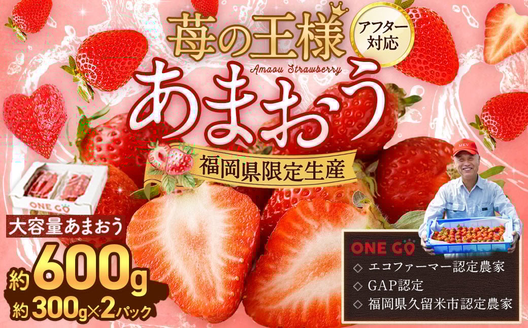 【寄附額改定↓】【予約受付】選べる大容量あまおう 600g 大粒 不揃い 選べる大容量あまおう （2L,グランデ,DX デラックス）減農薬 あまおう いちご 高級 いちごあまおう イチゴ 苺 フルーツ 果物 ふるさと納税くだもの amaou 福岡県 【2026年1月上旬～下旬発送予定】