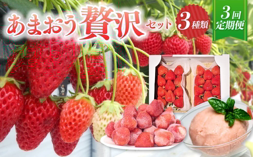 【予約受付・3回定期便】あまおう贅沢セット あまおう ジェラート 冷凍あまおう いちご イチゴ 苺 果物 くだもの フルーツ アイス 定期便 【2026年3月上旬～7月下旬発送予定】