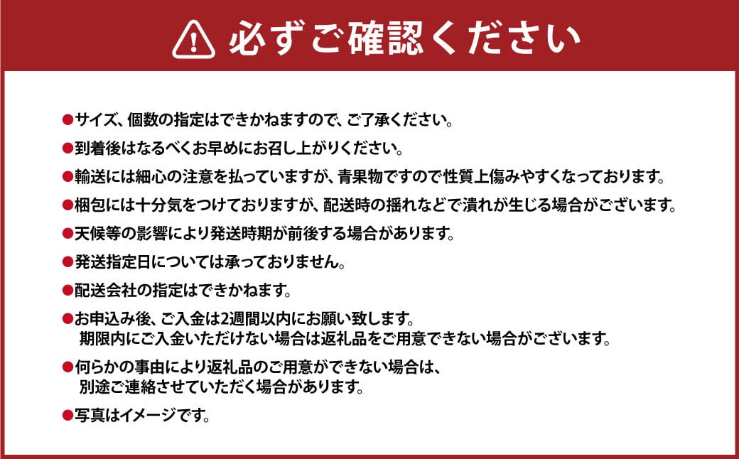 特選 あまおう 約400g いちご 苺 果物 完熟 遠賀町 【2024年12月上旬-2025年4月下旬発送予定】