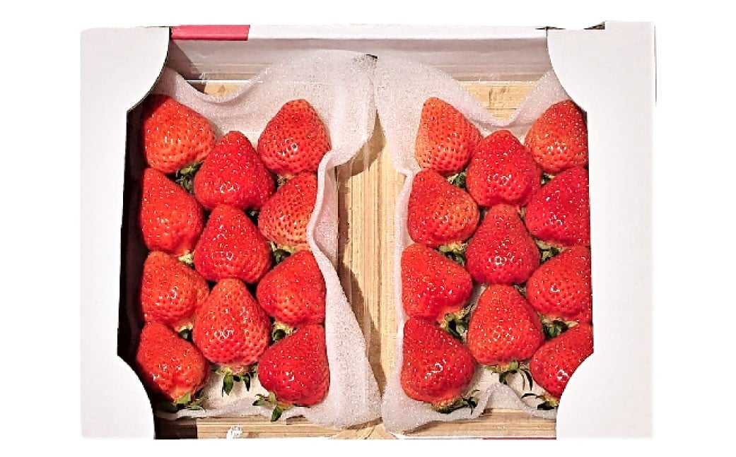 春のあまおう （2L ・ 2A ・ G規格以上 6パック） 【数量限定】 【2026年3月上旬〜4月下旬発送予定】 あまおう 苺 いちご 果物 果実 フルーツ 九州 福岡県 遠賀町 冷蔵
