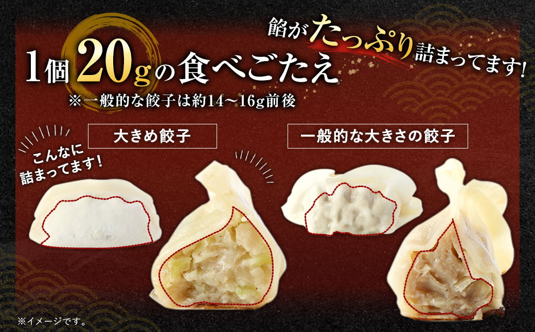 【国産冷凍生餃子】ラー麦を使用した大きめ餃子 50個＆とんこつラーメン 5食付き 合計2kg