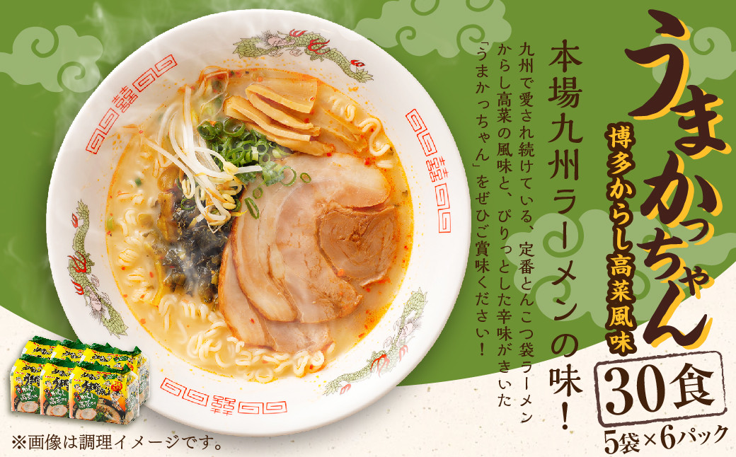 うまかっちゃん 博多からし高菜風味 30食 (5袋×6パック) とんこつ ラーメン インスタントラーメン 袋麺