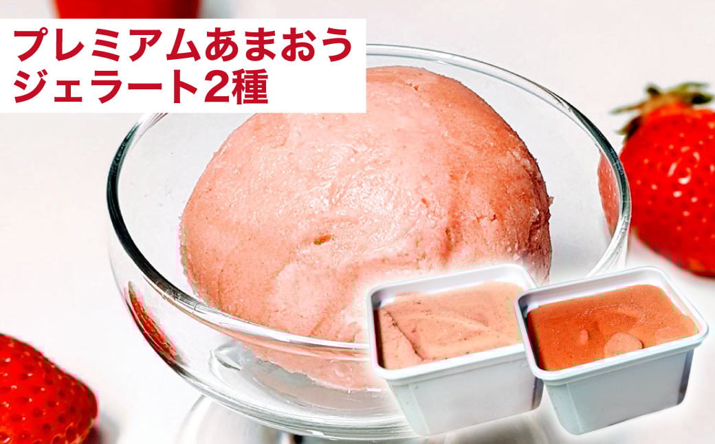 【予約受付・4回定期便】あまおう大好き定期便 ジェラート いちご レアチーズケーキ いちご イチゴ 苺 果物 くだもの フルーツ スイーツ デザート 定期便 【2026年2月上旬～7月下旬発送予定】