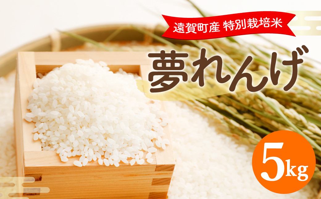 【令和5年産】  特別栽培米 夢れんげ 5kg お米 精米