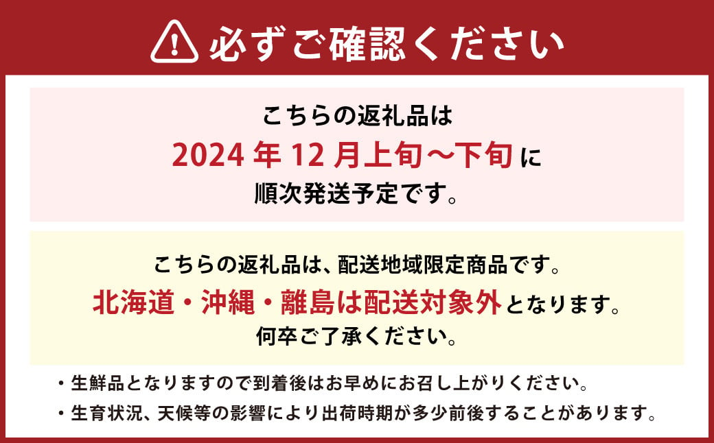 福岡県産 あまおう 1000g （250g × 4パック) 苺 イチゴ いちご 大粒 果物 フルーツ 福岡 福岡県 【2024年12月上旬～下旬発送予定】