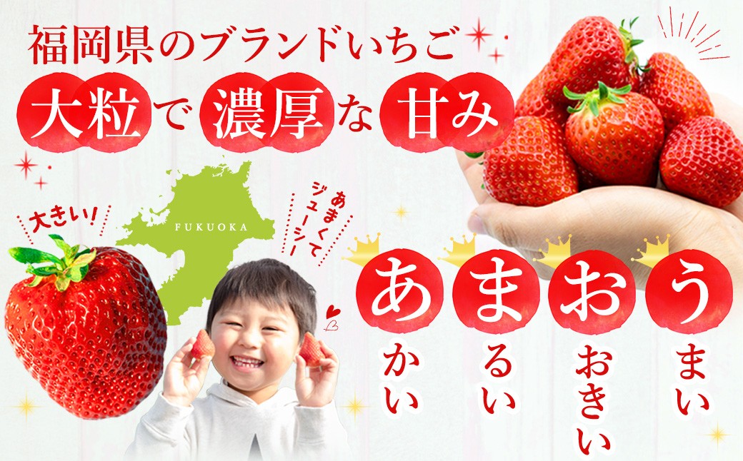 【数量限定】 福岡県産 あまおう 計540g 270g × 2パック 【2027年2月上旬～4月上旬発送予定】 苺 イチゴ いちご 果物 フルーツ 果実 国産 アフター保証 アフター対応 福岡県 遠賀町 冷蔵