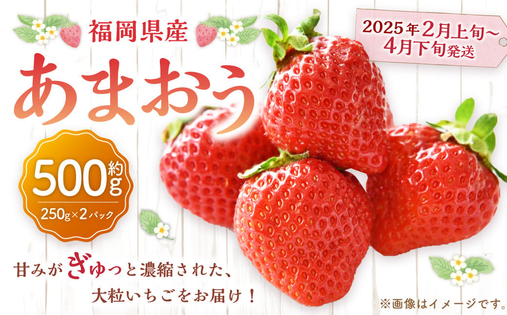 福岡県産 あまおう 500g （250g×2パック）苺 イチゴ いちご 大粒 果物 フルーツ 福岡 福岡県【2025年2月上旬～4月下旬発送予定】