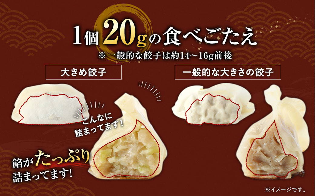 【3ヶ月定期便】【国産冷凍生餃子】 ラー麦を使用した大きめ餃子 50個 計1kg×3回 合計3kg