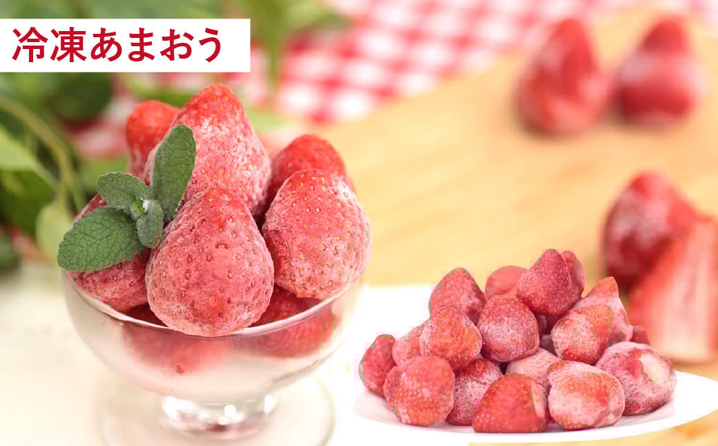 【予約受付・3回定期便】あまおう贅沢セット あまおう ジェラート 冷凍あまおう いちご イチゴ 苺 果物 くだもの フルーツ アイス 定期便 【2026年3月上旬～7月下旬発送予定】