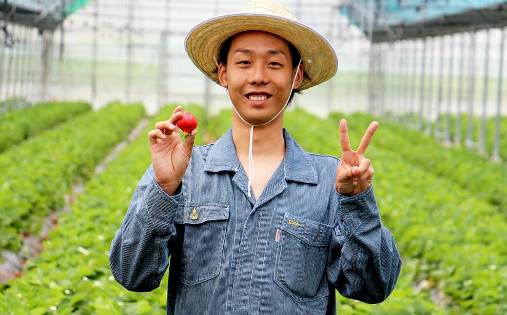 福岡県産 ブランド【あまおう】冷凍いちご 1600g 冷凍フルーツ 苺 イチゴ あまおう