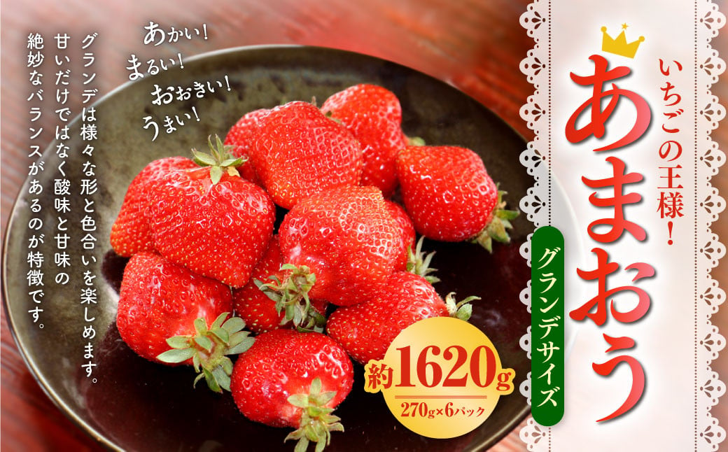 いちご の王様！【 あまおう グランデサイズ 】 約270g×6パック 合計約1620g 苺 いちご 完熟 果物 フルーツ 【2025年1月上旬-4月下旬発送予定】