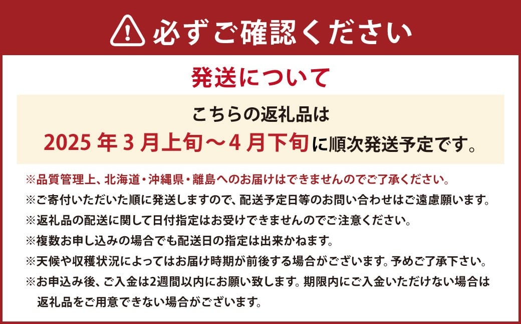 春のあまおう （2L ・ 2A ・ G規格以上 6パック） 【数量限定】 【2026年3月上旬〜4月下旬発送予定】 あまおう 苺 いちご 果物 果実 フルーツ 九州 福岡県 遠賀町 冷蔵
