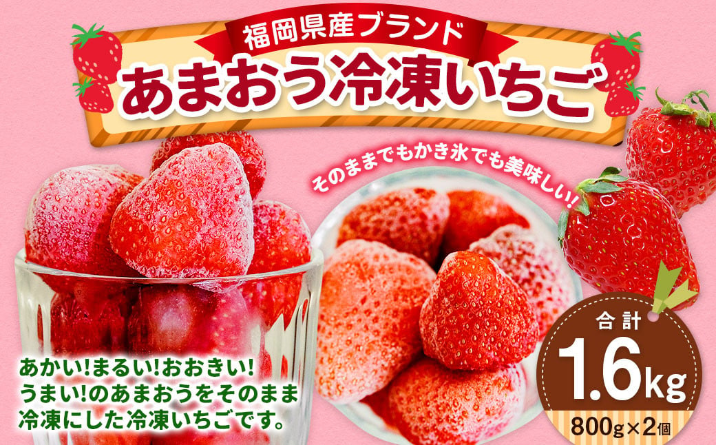 福岡県産 ブランド【あまおう】冷凍いちご 1600g 冷凍フルーツ 苺 イチゴ あまおう