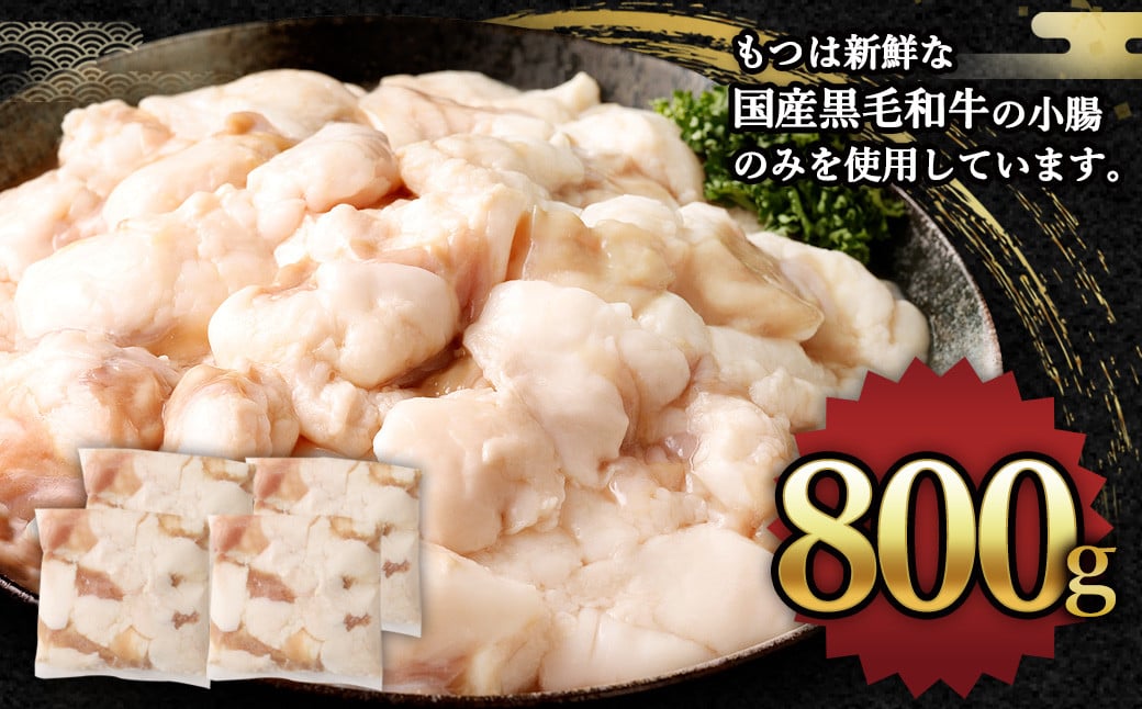 国産 牛もつ鍋 8人前 ちゃんぽん 濃縮スープ付（みそ味）