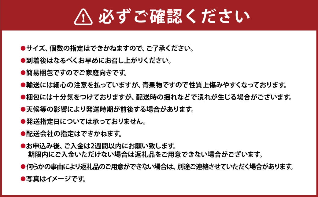 『 訳あり 』いちごの王様！ あまおう 小粒 もりもり（4パック） 計約1080g イチゴ 苺 ブランド 完熟 遠賀町 果物 【2025年1月上旬-4月下旬発送予定】