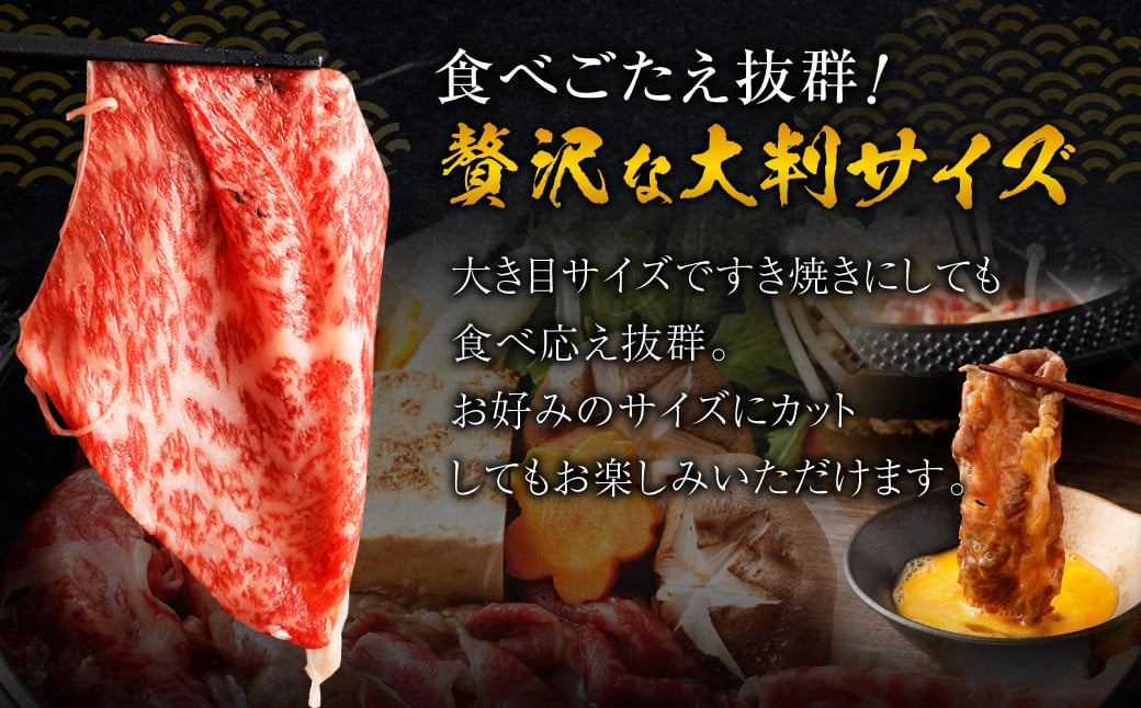 博多和牛 リッチな切り落とし 300g×2パック 計約600g 肉 牛肉 お肉 すき焼き 切り落とし