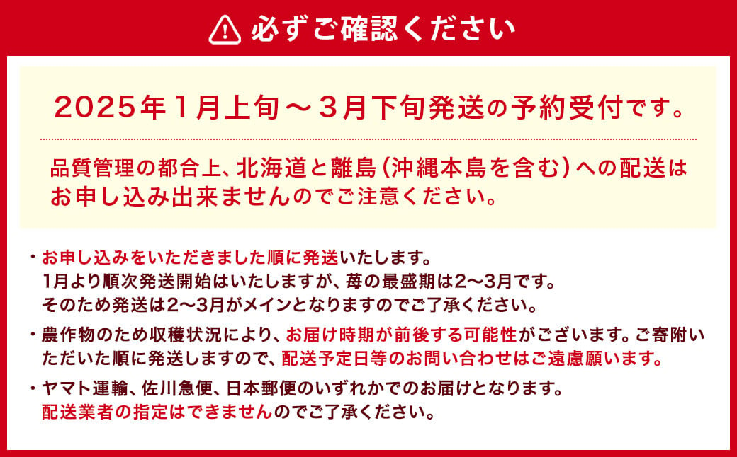 【アフター対応】あまおう 約280g×6パック【2025年1月上旬～3月下旬発送予定】 苺 イチゴ いちご 果物 フルーツ福岡県 遠賀町