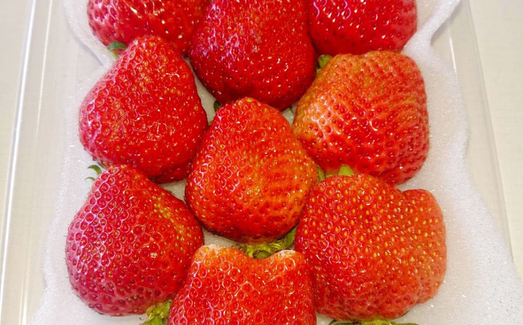 【3回定期便】あまおう 3パック 計約750～810g  ×3回 あまおう いちご イチゴ 苺 果物 くだもの フルーツ 定期便【2026年1月下旬～4月下旬発送予定】