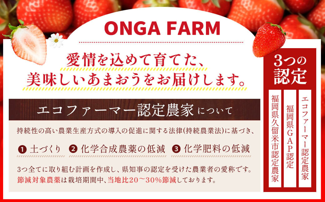 【アフター対応】あまおう 約280g×6パック【2025年1月上旬～3月下旬発送予定】 苺 イチゴ いちご 果物 フルーツ福岡県 遠賀町