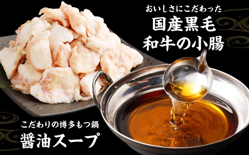 国産黒毛和牛もつ鍋（醤油味）6人前 冷凍ちゃんぽん・濃縮スープ付＋ハーブ育ちチキン使用！水炊き4人前 合計10人前