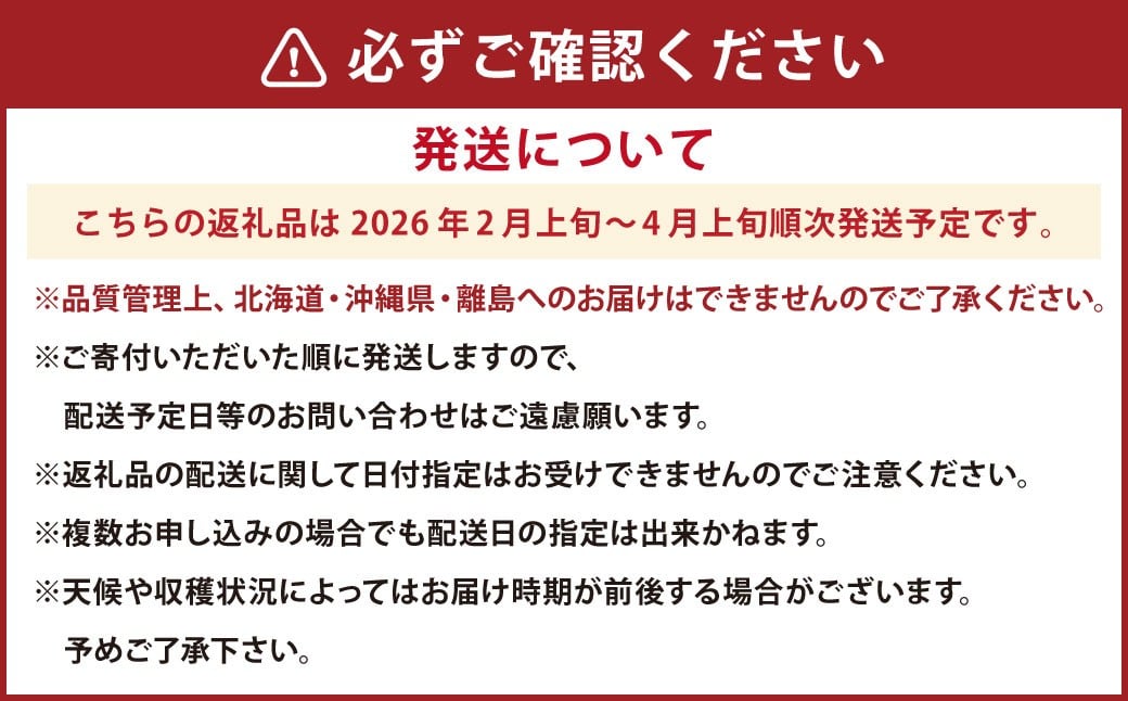 大粒あまおう 約250～270g × 2パック （合計 ： 約500～540g） 【2026年2月上旬～4月上旬発送予定】 あまおう いちご イチゴ 苺 果物 くだもの フルーツ 福岡県産 国産 福岡県 遠賀町 冷蔵