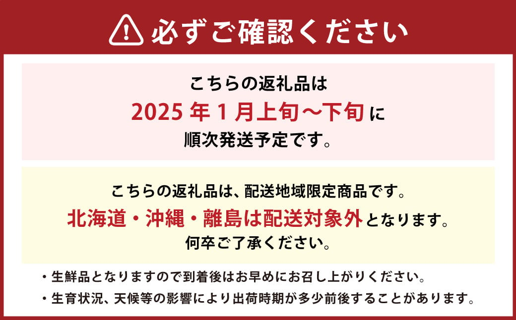 福岡県産 あまおう 1000g （250g × 4パック） 苺 イチゴ いちご 大粒 果物 フルーツ 福岡 福岡県 【2025年1月上旬～下旬発送予定】