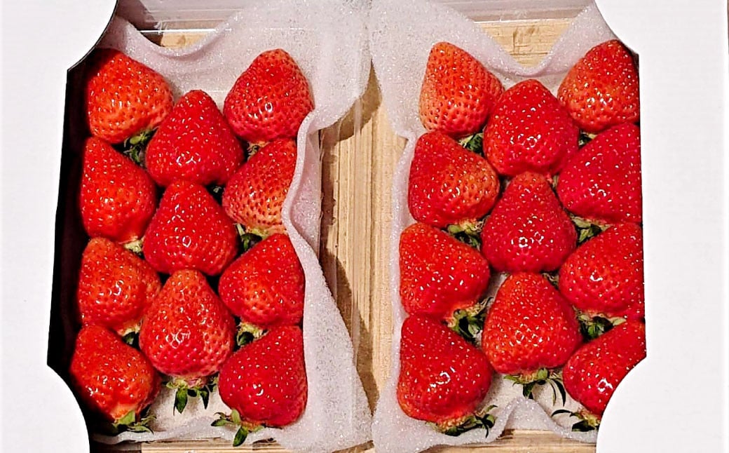 ããŸããDX çŽ280gÃ4ãã㯠ããŸãã ãã¡ã ã€ããŽ èº æç© ãã ãã® ãã«ãŒãã2026幎2æäžæ¬ïœ4æäžæ¬çºéäºå®ã