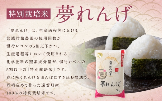 縲蝉サ、蜥7蟷エ逕」縲 迚ケ蛻・譬ス蝓ケ邀ウ 螟「繧後s縺 10kg シ5kgテ2陲具シ 縲2025蟷エ10譛井ク区流逋コ騾髢句ァ九 縺顔アウ 邊セ邀ウ 邀ウ 繧ウ繝。