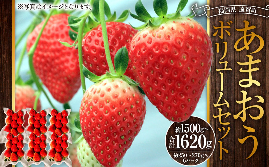 あまおうボリュームセット 6パック 計約1500～1620g あまおう いちご イチゴ 苺 果物 くだもの フルーツ【2025年2月上旬～4月上旬発送予定】