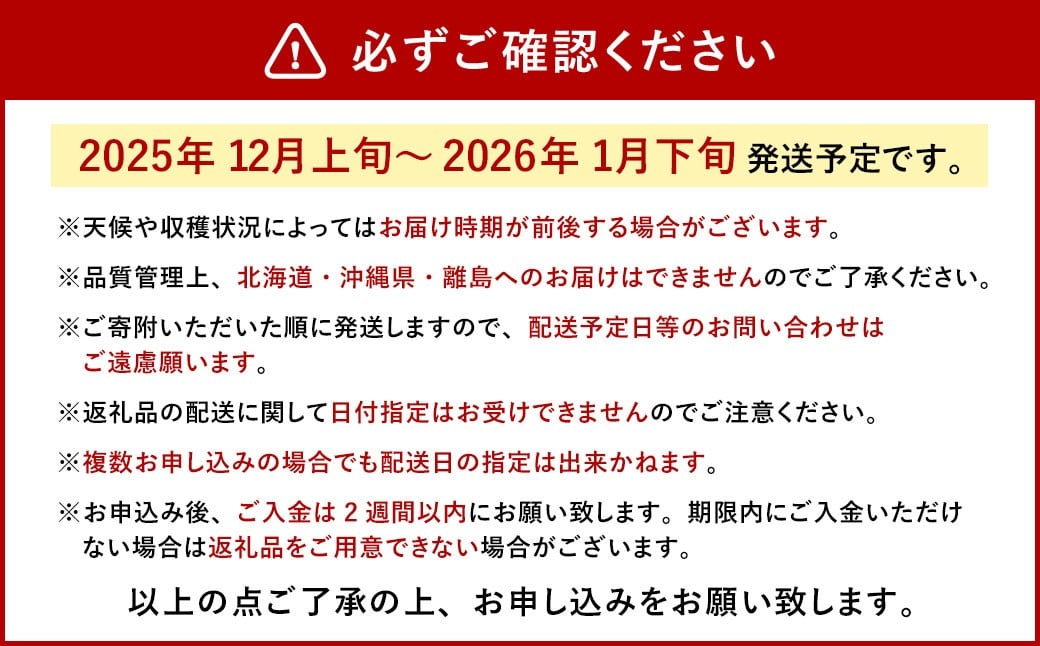 今季初採れあまおう 2パック 【数量限定】 【2025年12月上旬～2026年1月下旬発送予定】 あまおう いちご イチゴ 苺 フルーツ 果物 初採れ 国産 福岡県産 福岡県 遠賀町 冷蔵 