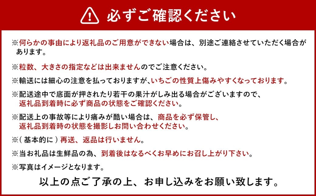 今季初採れあまおう 2パック 【数量限定】 【2025年12月上旬～2026年1月下旬発送予定】 あまおう いちご イチゴ 苺 フルーツ 果物 初採れ 国産 福岡県産 福岡県 遠賀町 冷蔵 