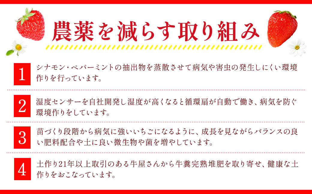 【アフター対応】あまおう 約280g×6パック【2025年1月上旬～3月下旬発送予定】 苺 イチゴ いちご 果物 フルーツ福岡県 遠賀町