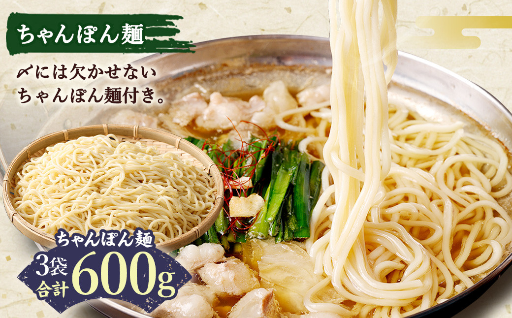 国産 牛もつ鍋 10人前 ちゃんぽん 濃縮スープ付（みそ味）