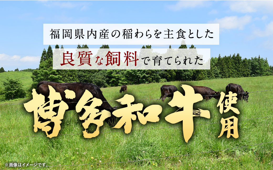【福岡県産博多和牛使用】 博多和牛 じっくり煮込んだビーフカレー レトルト 30人前 160g×30袋 合計4,800g カレー ビーフカレー 和牛