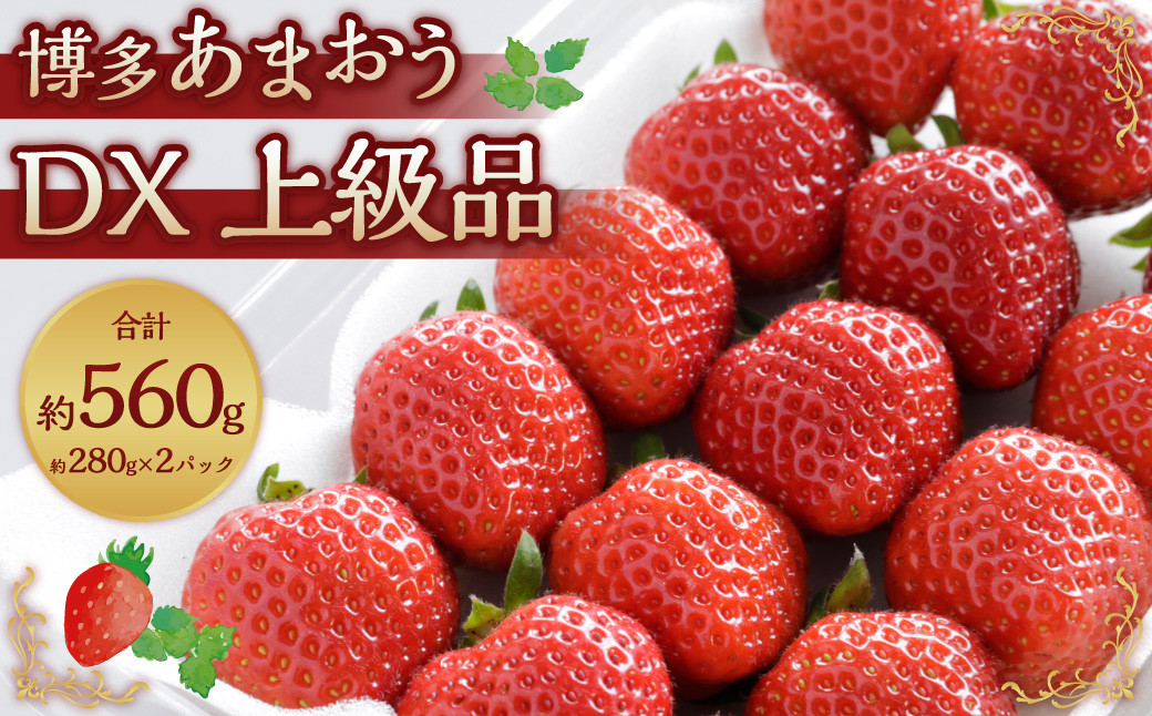 博多 あまおう リッチな 3回 定期便 計約 3360g 福岡 イチゴ いちご 苺 フルーツ【2024年12月上旬～2025年2月下旬発送予定】