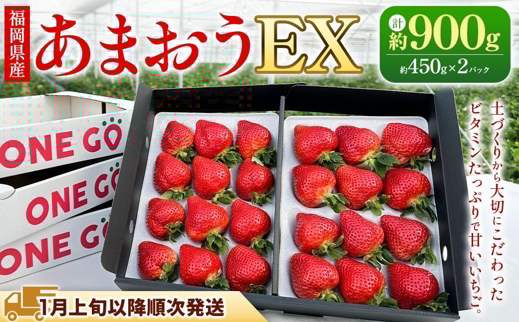 【ギフト用／特別栽培】 福岡県産 あまおう EX 約450g×2パック 【2026年1月上旬～3月下旬発送予定】 いちご イチゴ 苺 フルーツ 果物 くだもの ギフト 贈答用 贈り物 福岡県 遠賀町