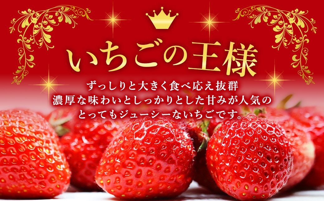 【数量限定】 福岡県産 あまおう 計540g 270g × 2パック 【2027年2月上旬～4月上旬発送予定】 苺 イチゴ いちご 果物 フルーツ 果実 国産 アフター保証 アフター対応 福岡県 遠賀町 冷蔵