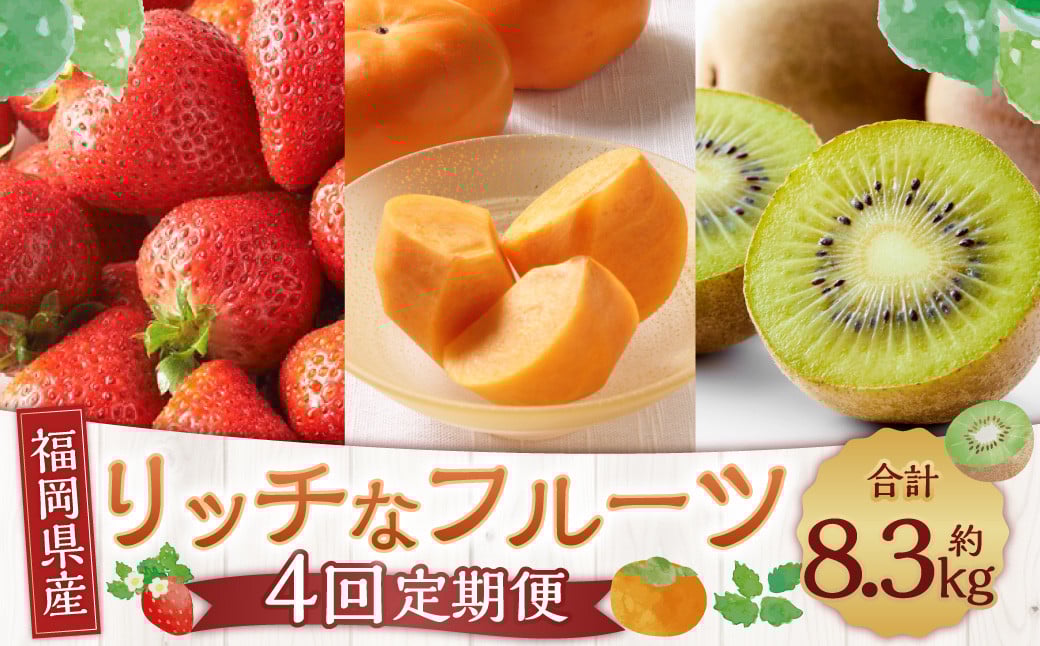 福岡のリッチな フルーツ 4回 定期便 計約 8380g 国産 福岡 イチゴ いちご 苺 柿 キウイ 果物【2025年10月下旬〜2026年1月下旬発送予定】
