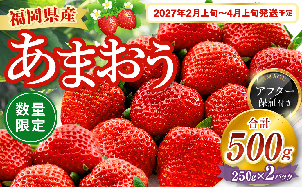 【数量限定】 福岡県産 あまおう 計500g 250g×2パック 【2027年2月上旬～4月上旬発送予定】 苺 イチゴ いちご 果物 フルーツ 果実 国産 アフター保証 アフター対応 福岡県 遠賀町 冷蔵