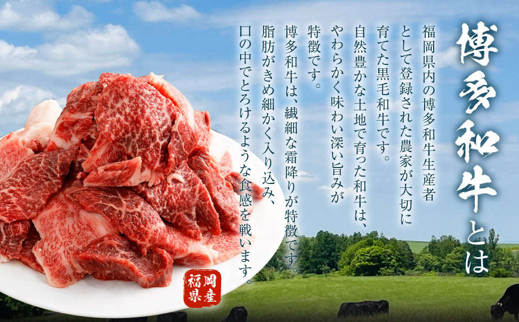 博多和牛 焼肉 切落し ミックス 500g×2パック 計約1kg 肉 牛肉 お肉 モモ ウデ バラ 切り落とし