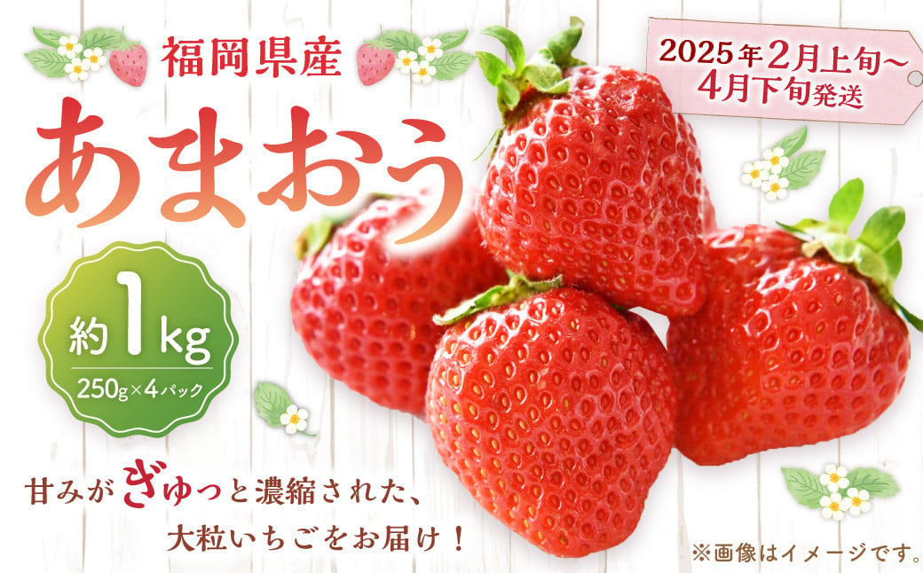 福岡県産 あまおう 1000g（250g × 4パック） 苺 イチゴ いちご 大粒 果物 フルーツ 福岡 福岡県 【2025年2月上旬～4月下旬発送予定】