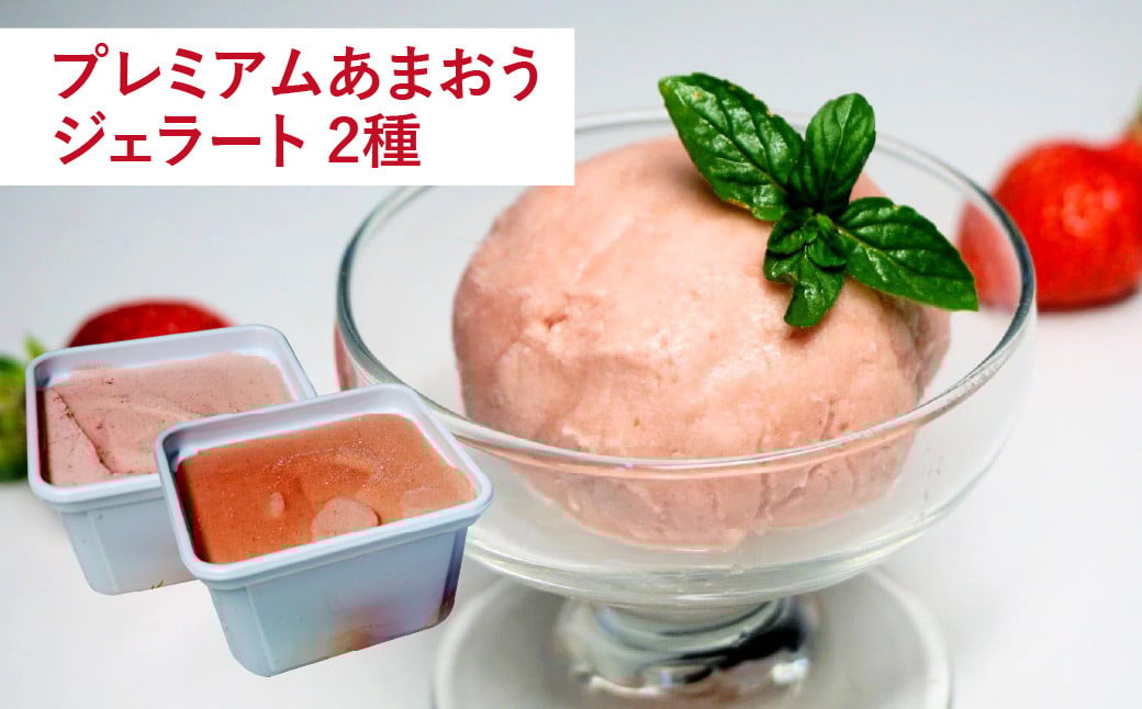 【予約受付・3回定期便】あまおう贅沢セット あまおう ジェラート 冷凍あまおう いちご イチゴ 苺 果物 くだもの フルーツ アイス 定期便 【2026年3月上旬～7月下旬発送予定】