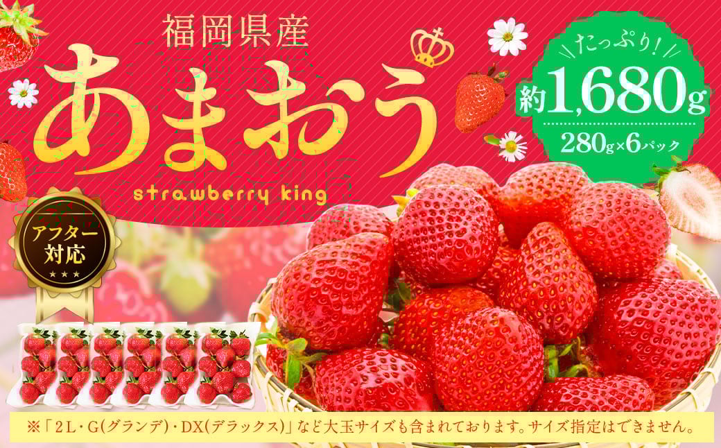 【アフター対応】あまおう 約280g×6パック 【2026年1月上旬～3月下旬発送予定】 苺 イチゴ いちご 果物 フルーツ福岡県 遠賀町
