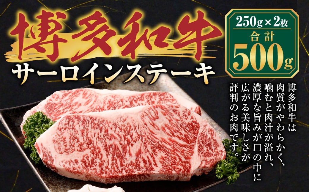 博多和牛 サーロイン ステーキ 250g×2枚 計500g 牛肉 和牛 お肉 ステーキ 福岡県 遠賀町