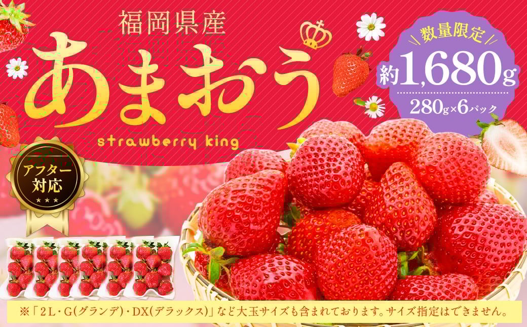 【アフター対応】 あまおう 約280g×6パック （計約1.68kg） 【2026年4月上旬～4月下旬発送予定】 苺 いちご イチゴ 果物 果実 フルーツ 九州 福岡県 遠賀町 冷蔵