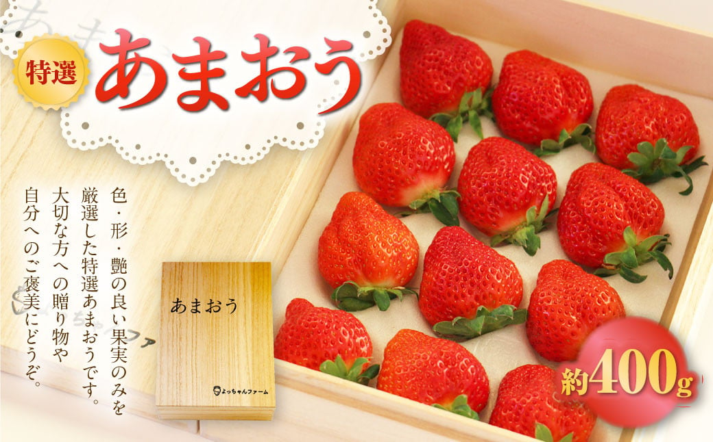 特選 あまおう 約400g いちご 苺 果物 完熟 遠賀町 【2024年12月上旬-2025年4月下旬発送予定】