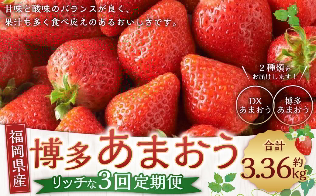 博多 あまおう リッチな 3回 定期便 計約 3360g 福岡 イチゴ いちご 苺 フルーツ【2025年12月上旬〜2026年2月下旬発送予定】